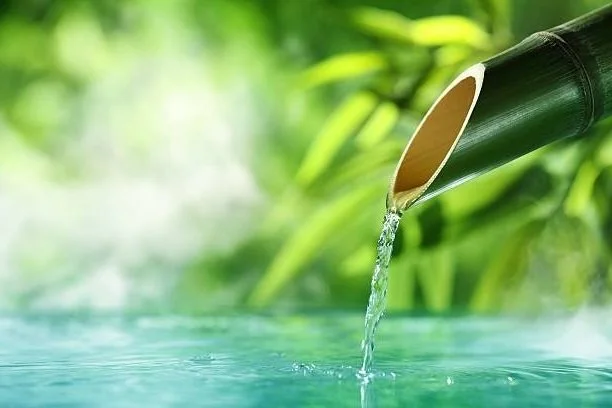 Ambiance zen, eau et bambou